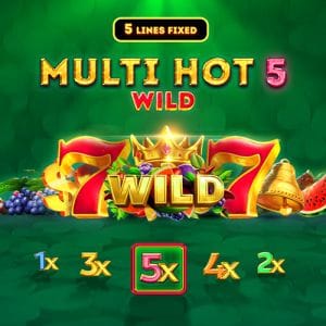 MultiHot5Wild game icon